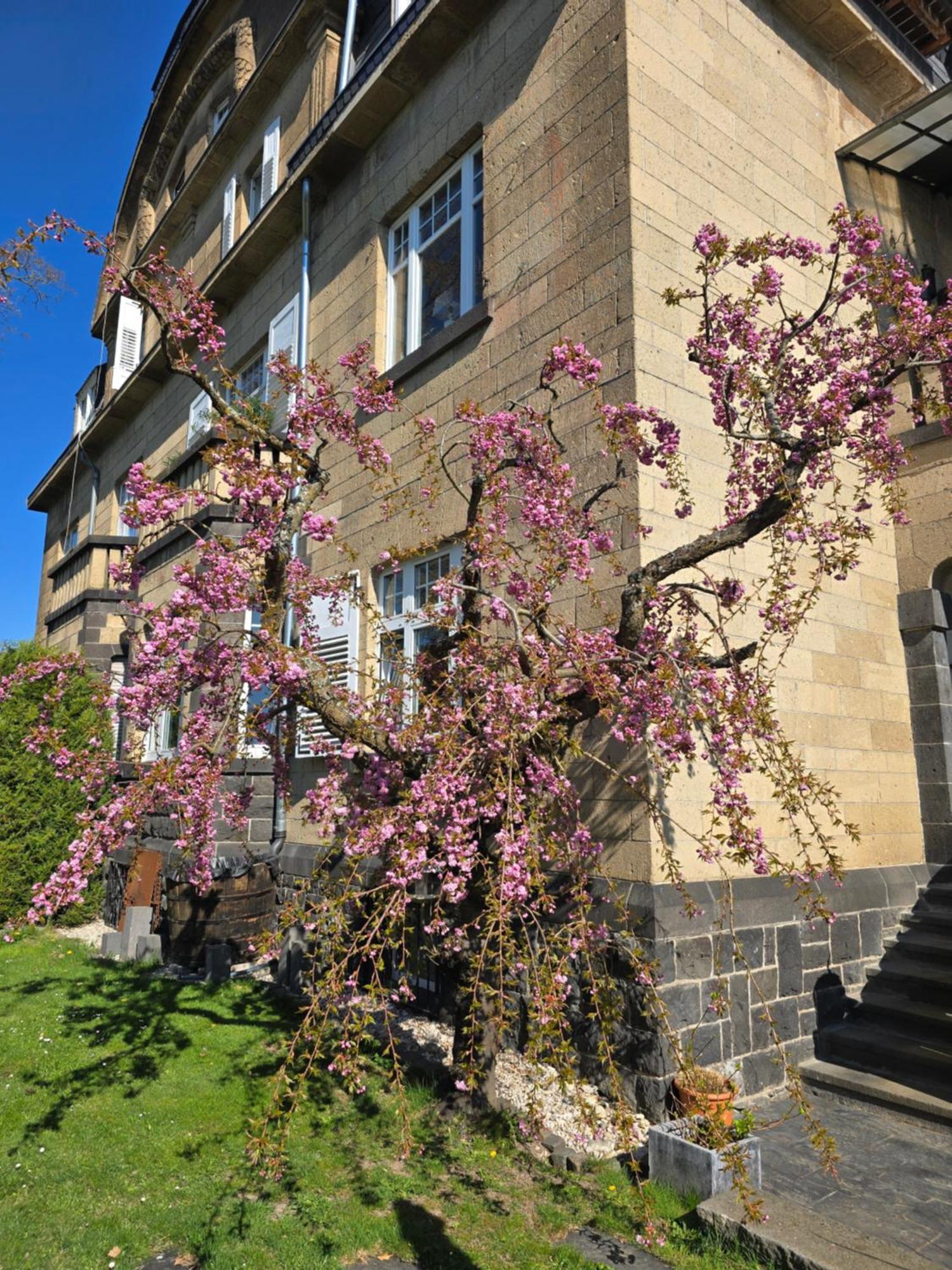 Kottenheim Villa Valerius מראה חיצוני תמונה